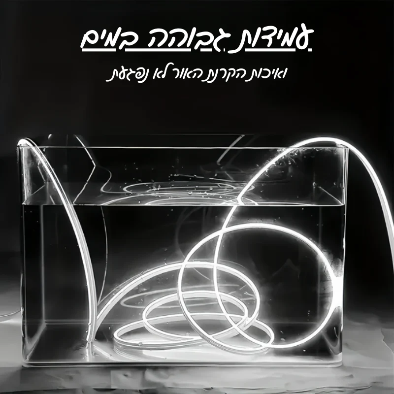 תמונה ממוזערת 7